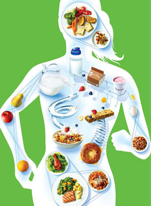 nutrition basics for muscle building - the right nutrition in the right frame Nutrition 1