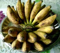 Bananas