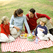 Picnics are all about food, food and more food. Picnics are all about food, food and more food.