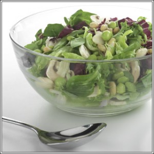Plastic salad container