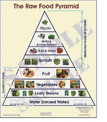 Raw food diet plan