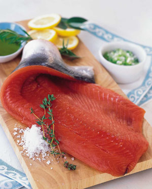 Salmon