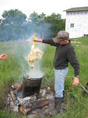 Scalding the chicken helps in faster and easier plucking of the hen