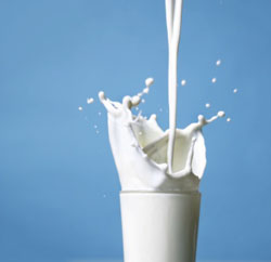 How to avoid milk allergies rising from improper serving of milk products