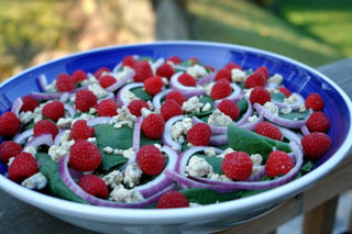 Raspberry Spinach Salad