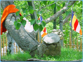 srimahabodiya-anuradapuraya