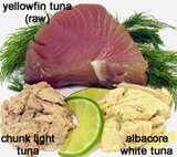 storing-tuna