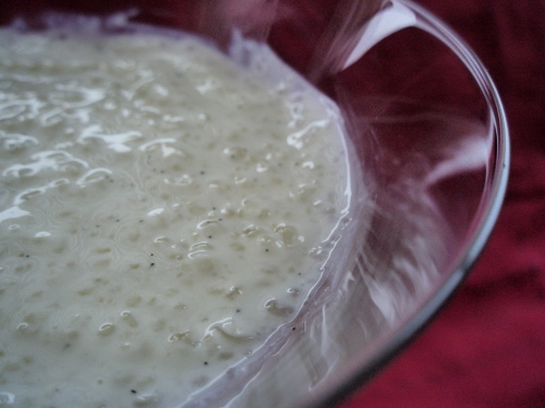 Delicious tapioca pudding