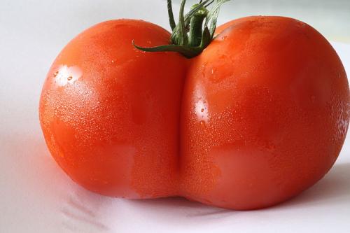 Tomato leaves