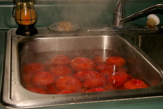 Tomatoes immersed in boiling water