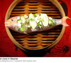 Fish