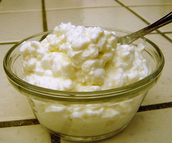 Instant Cottage Cheese Instant Cottage Cheese picture