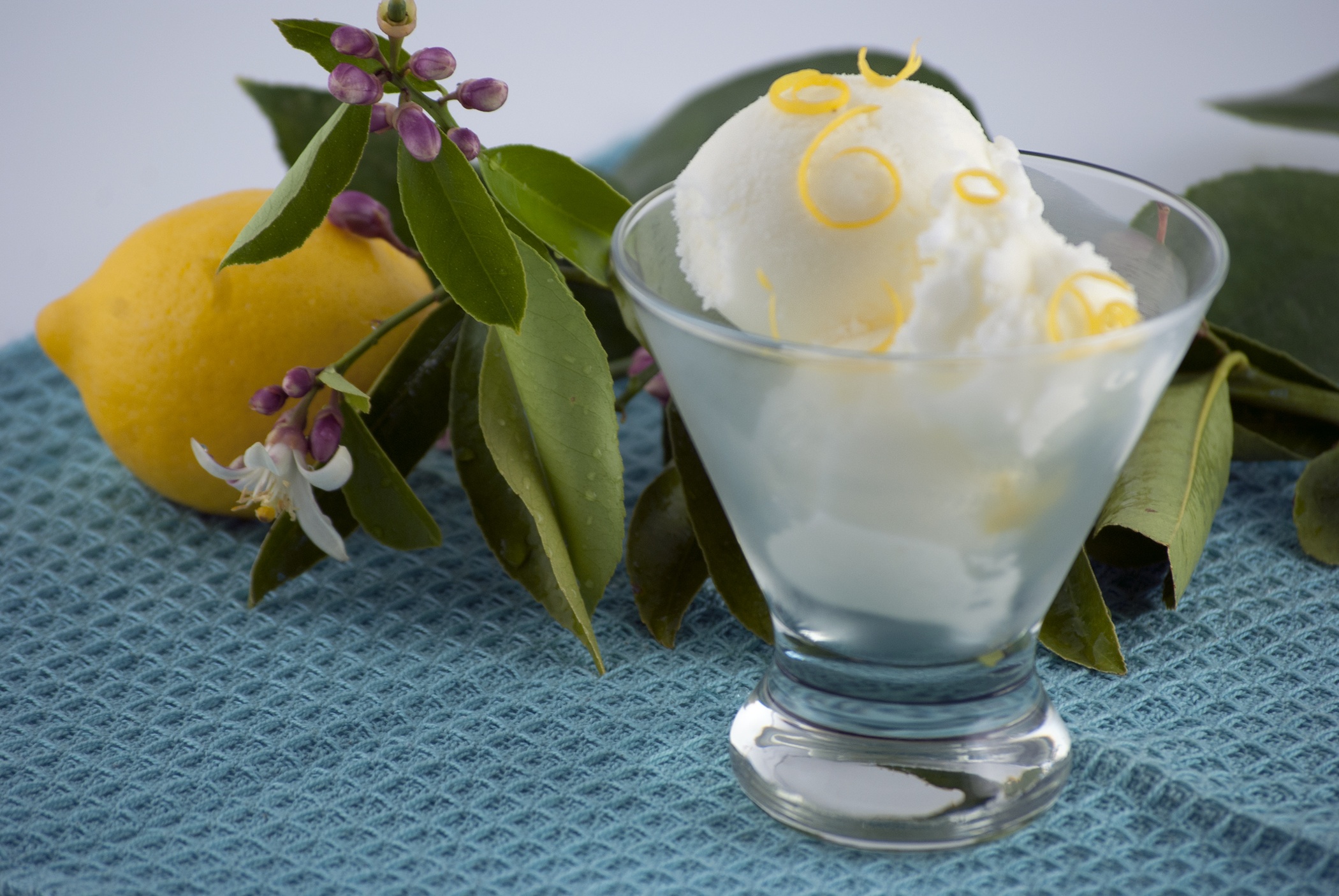 Lemon Kefir Sherbet Lemon Kefir Sherbet picture