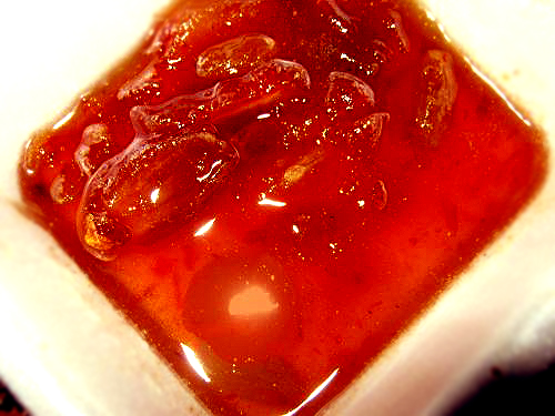 Sweet Chutney Sweet Chutney picture