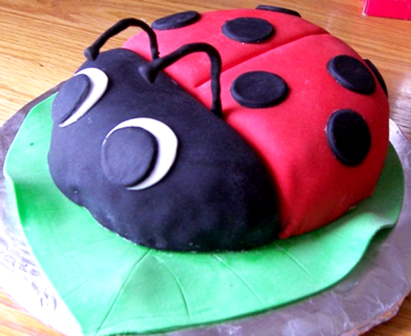 Brownie Bugs Brownie Bugs picture