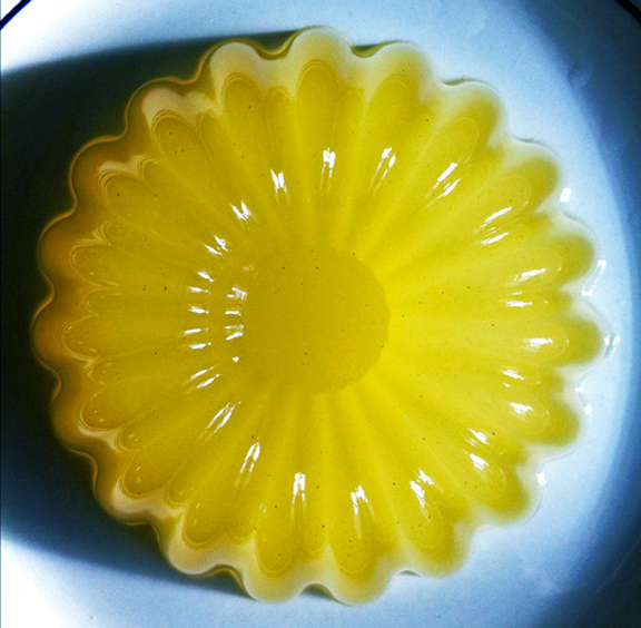 Chablis Jelly Chablis Jelly picture