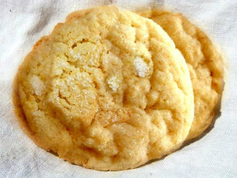 Animal Sugar Cookies Animal Sugar Cookies picture