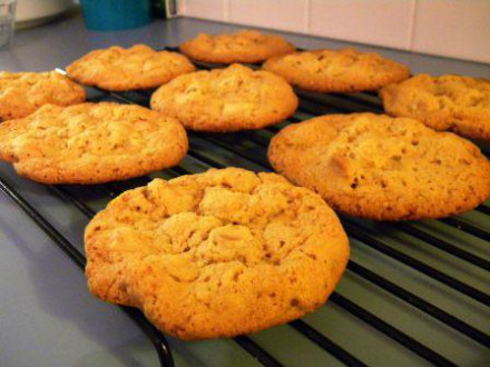 Orange Cookies Orange Cookies picture