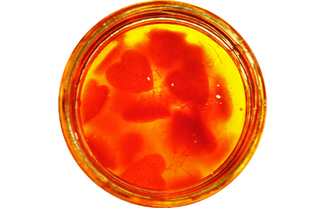 Marmalade Marmalade picture