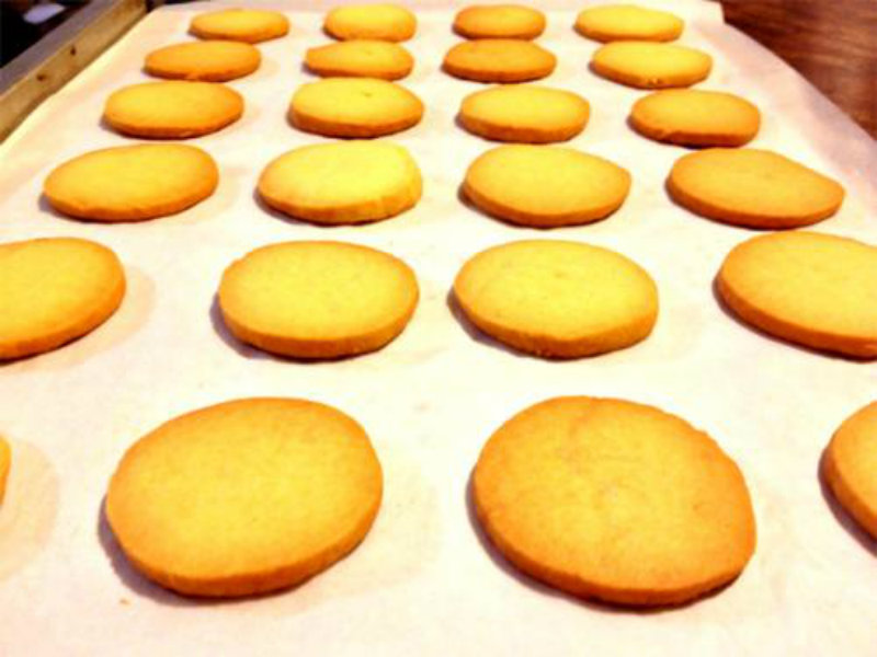 Plain Salt Biscuits Plain Salt Biscuits picture