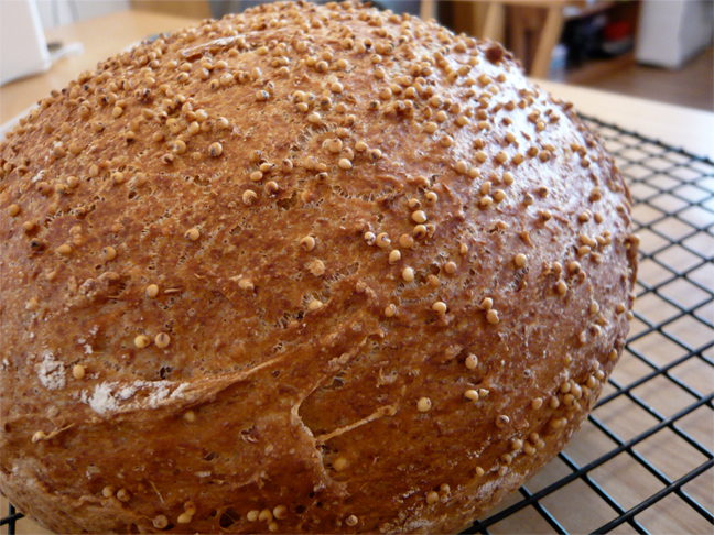 Millet Bread Millet Bread picture