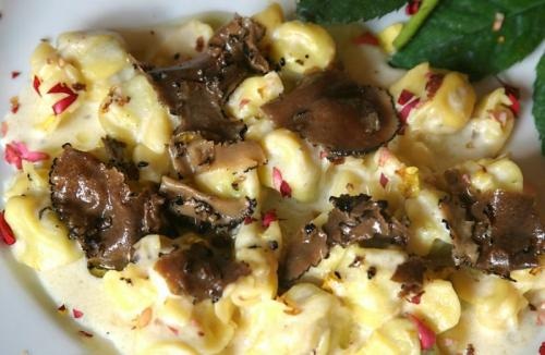 Miniature Tartufo Miniature Tartufo picture