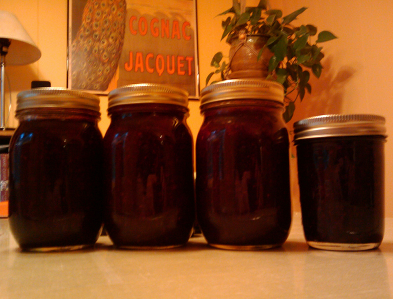 Jam Of Four Berries Jam Of Four Berries picture