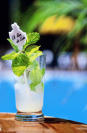 The Mango Mojito picture