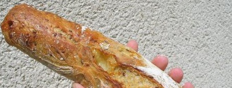 Mustard Bread Mustard Bread picture
