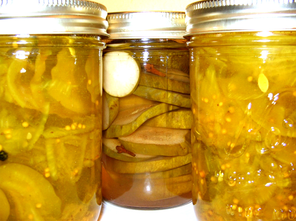 Mustard Pickles Mustard Pickles picture
