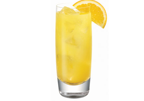 Navel Cadet Cocktail Navel Cadet Cocktail picture