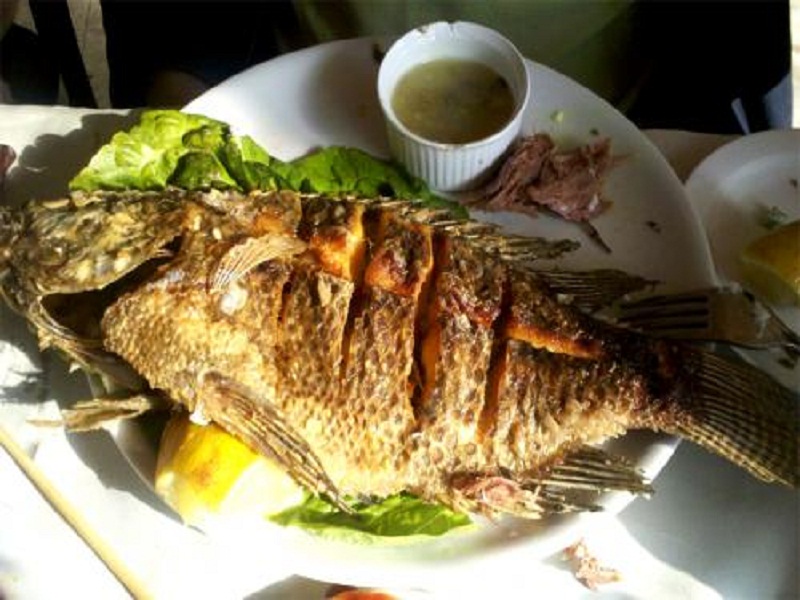 Patra Ni Macchi Patra Ni Macchi picture