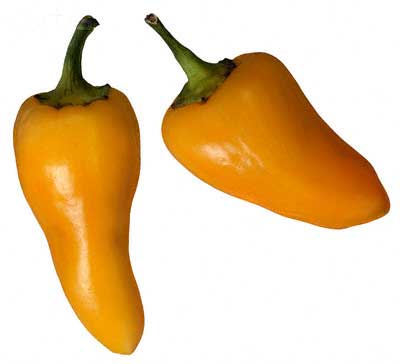 yellowchilli's picture yellowchilli's picture