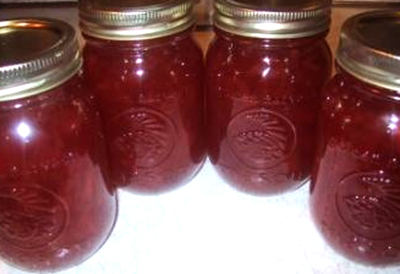 Plum Jelly Plum Jelly picture