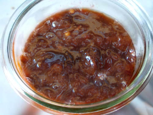 Plum Rhubarb Chutney Plum Rhubarb Chutney picture