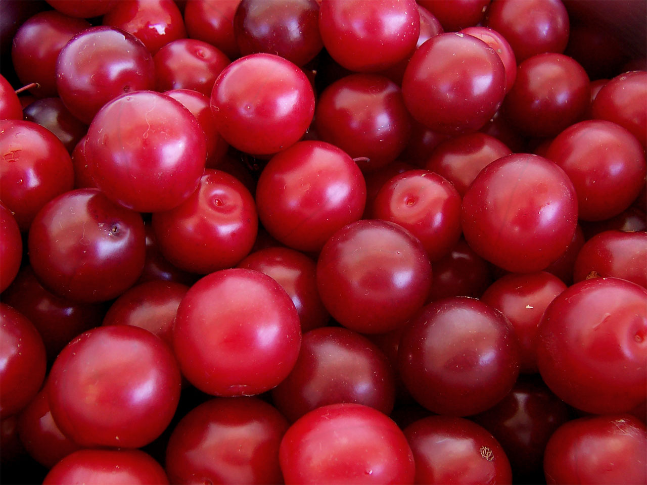 Plum Rasam Plum Rasam picture