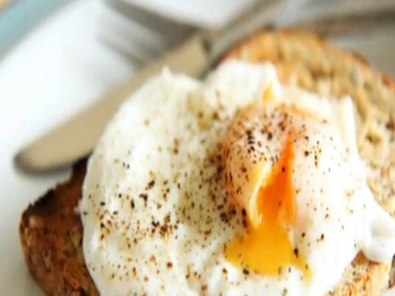Poached Egg Poached Egg picture