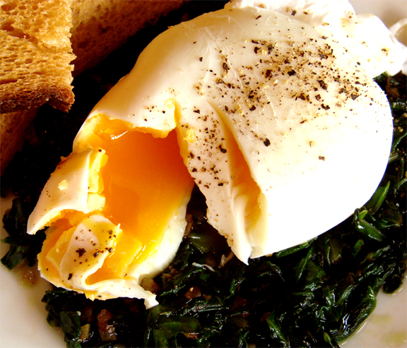 Poached Eggs and Spinach Poached Eggs and Spinach picture