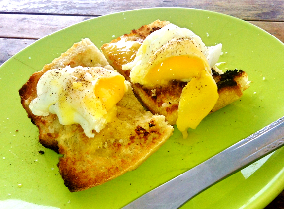 Steamed Eggs On Toast Steamed Eggs On Toast picture