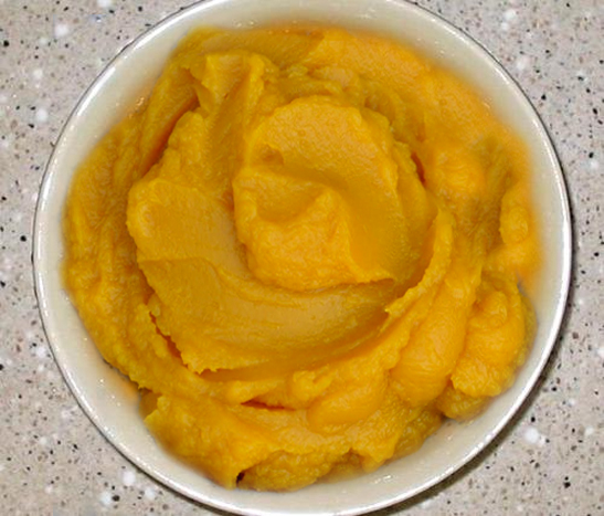 Pumpkin & Apricot Puree Pumpkin & Apricot Puree picture