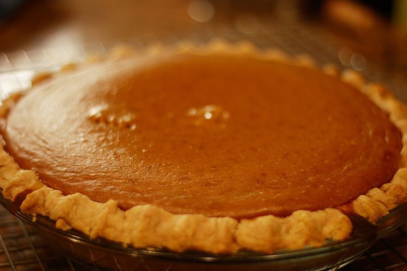 Pumpkin Pie Pumpkin Pie picture