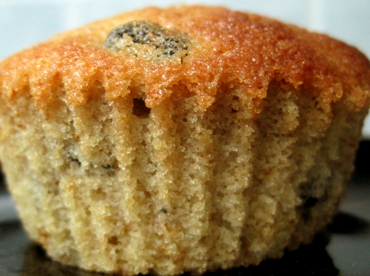 Raisin Cupcakes Raisin Cupcakes picture
