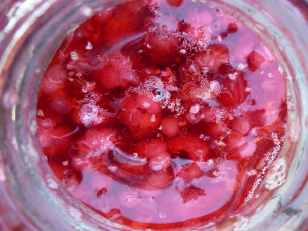 Raspberry Vinegar Raspberry Vinegar picture