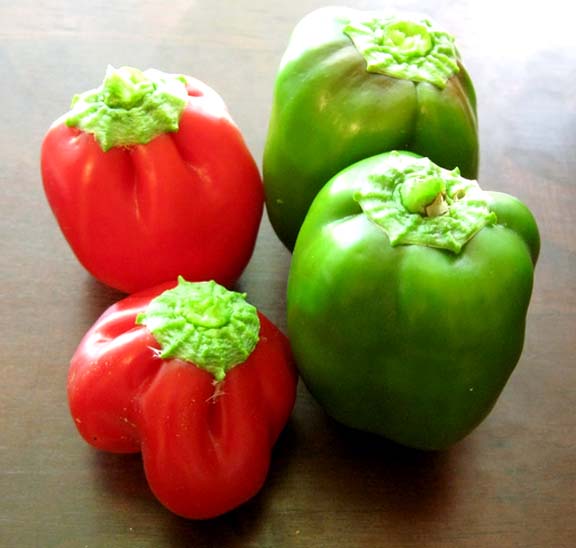 Red And Green Peppers In Olive Oil, Garlic, And Parsley Red And Green Peppers In Olive Oil, Garlic, And Parsley picture