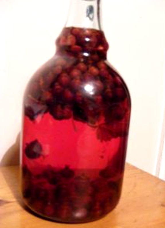 Western Special Preserves Western Special Preserves picture