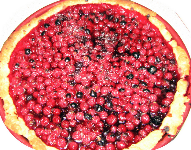 Grandma Hummel S Currant Tarts Grandma Hummel S Currant Tarts picture