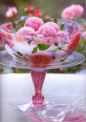 Romance Sorbet Romance Sorbet picture