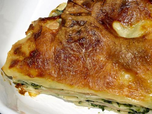 Salmon Lasagna Salmon Lasagna picture