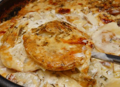 Scalloped Potatoes Scalloped Potatoes picture
