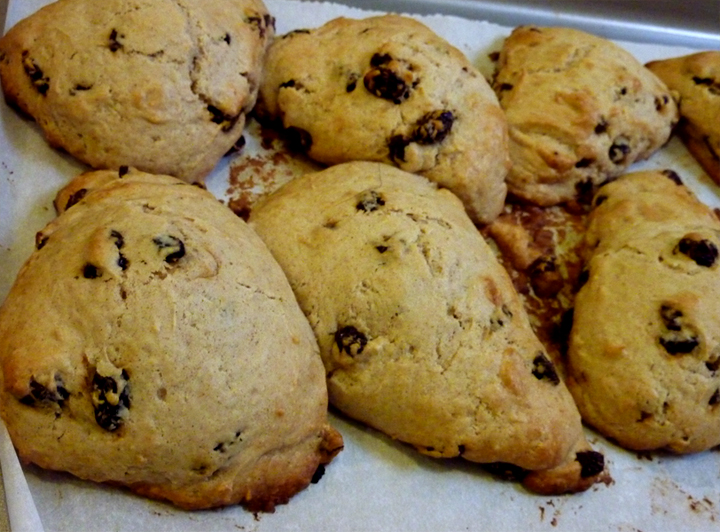 Scotch Scones Scotch Scones picture